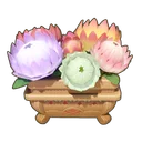 Colorful King Protea Box icon