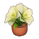 Potted Amaryllis icon