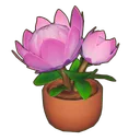 Potted King Protea icon