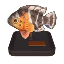 Red-Breasted Wrasse Model icon